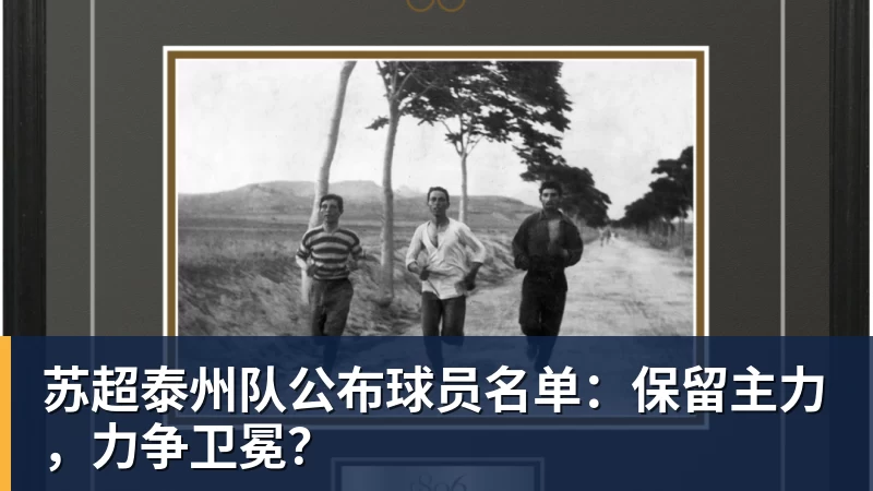 苏超泰州队公布球员名单：保留主力，力争卫冕？